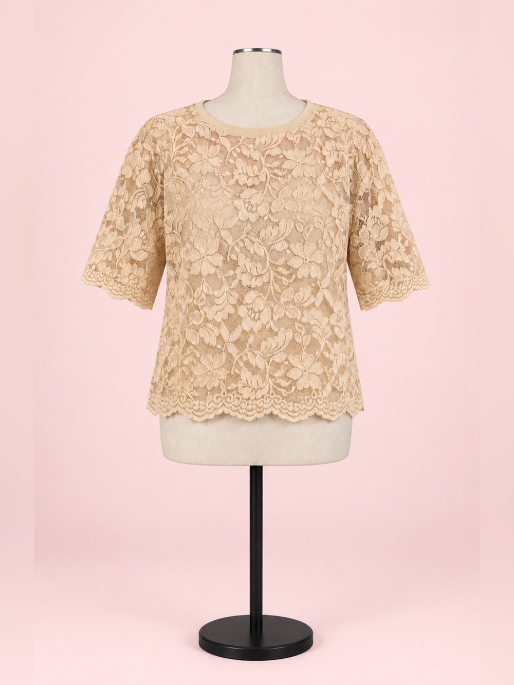Anthropologie Dolan Taupe Lace Boxy Tee Top w/ Cami NWT Size L